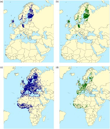 Figure 1. Distribution of ringing and recovery locations for Ospreys Pandion haliaetus ringed by European Ringing Schemes and recovered either dead or alive: (a) ringing locations of birds recovered dead; (b) ringing locations of birds recovered alive; (c) finding locations of birds recovered dead; (d) finding locations of birds recovered alive. Redrawn from du Feu et al (Citation2016).