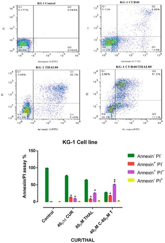 Figure 4 Flow Cytometry analysis. KG-1 cells treated with CUR (40 µM) and THAL (80 µM) and their combination. Necrosis and apoptosis effect of CUR and THAL and their combination in KG-1 cells after 48 hrs. Data are mean ± SE of three independent experiments. Statistical signiﬁcance was deﬁned at *P < 0.05 and **P < 0.01 compared to corresponding untreated controls.