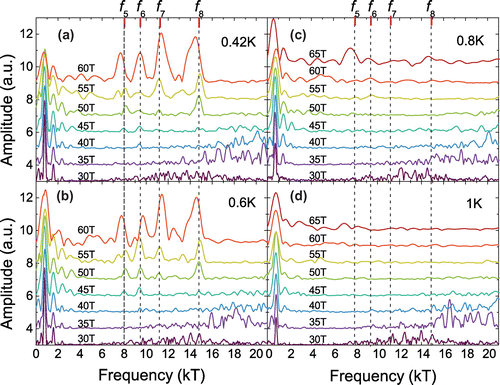 Figure 2. (colour online) FFT spectra of the dHvA oscillations for at various magnetic fields with . The values of and the measured temperatures are given in (a)–(d). Here a field interval of  T is used for each FFT spectrum. Curves of different are equally shifted along the vertical direction.