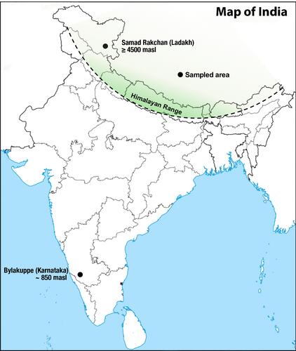 Figure 1 India map showing sampled area. The distance between Samad Rakchan and Bylakuppe is ~2320 km.