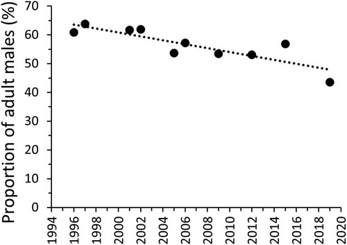 Figure 4. Proportion of Eiders that were adult male (%) among the sample of birds identified as adult male or female/juvenile during Shetland-wide moulting Eider population surveys in 1996–2019. Dotted line = linear regression of proportion of adult males on year (β = −1.24 per cent per year, t = −4.62, df = 9, P = 0.002). In each survey year, ≥ 86% of all Eider counted were categorised as either adult male or female/juvenile.