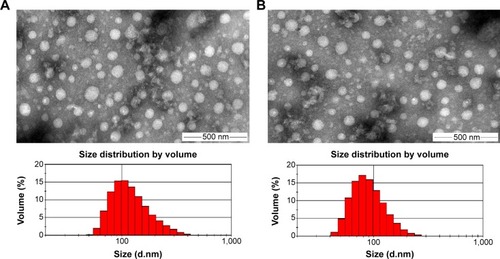 Figure 7 Particle size distributions and TEM images of (A) CS-(10s)SN38 and (B) CS-(20s)SN38.Note: Scale bar indicates 500 nm.Abbreviations: CS-(10s)SN38, chitosan-(C10-OH)SN38; CS-(20s)SN38, chitosan-(C20-OH)SN38; TEM, transmission electron microscopy; SN38, 7-Ethyl-10-hydroxycamptothecin.
