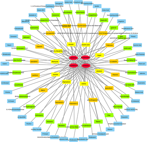 Figure 1 Yangjing Zhongyu Tang (YJZYT) active component network.