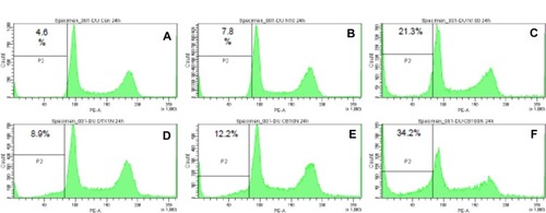 Figure 7 Flow cytometry analysis of apoptosis of DU145 cells. Panels represent the following treatments: (A) untreated (control); (B) MgNPs-Fe3O4 (10 μg/mL); (C) MgNPs-Fe3O4 (100 μg/mL); (D) DTX (1 nM); (E) DTX (1 nM) + MgNPs-Fe3O4 (10 μg/mL); and (F) DTX (1 nM) + MgNPs-Fe3O4 (100 μg/mL).Notes: Cells were incubated with each condition for 24 hours. The percentage of cells in the sub-G1 phase was quantified for each plot.Abbreviations: MgNPs-Fe3O4, Fe3O4 magnetic nanoparticles; DTX, docetaxel.