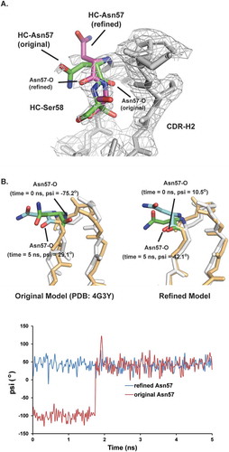 Figure 7. Structural models for HC Asn57. The conformation of HC Asn57 from original crystal structure model (PDB: 4G3Y) is not energetically favorable. A) Structure overlays of CDR-H2 loops between the original crystal structure model and refined model. The electron density map (2Fo-Fc) was shown as grey mesh at a contour level of 1σ. B) Upper panel, overlays of instantaneous structures of CDR-H2 loops at 5 ns from molecular dynamic trajectories obtained. (Left) original model (Right) refined model. Lower panel, psi angels for Asn57 during the MD simulations for both original and refined structure models.