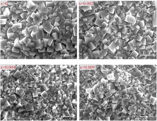 Figure 2. SEM surface micrographs of BKNT-x ceramics with various compositions sintered at 1180 oC for 2 hours