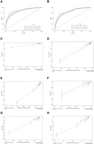 Figure 5 The evaluation of the nomogram to predict the prognosis of BC. The ROC curve in the training cohort (A) and the validation cohort (B) in 1, 3, and 5 years. The C-index is represented by the area under the curve. The calibration curves in the training cohort (C–E) and the validation cohort (F–H) in 1, 3, and 5 years. The C-index was represented by the area under the curve. The closer the curve is to the dashed line with a slope of 45°, the higher the calibration of the nomogram.