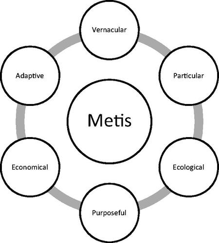 Figure 1. Qualities of Metis (Scott Citation1998).