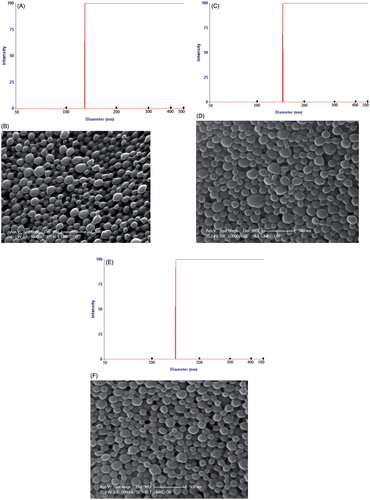 Figure 3. Particle size distribution curves and scanning electron photographs of NP. (A and B) FITC-labeled LLGCV-NP, (C and D) FITC-labeled LDGCV-NP and (E and F) FITC-labeled DLGCV-NP.