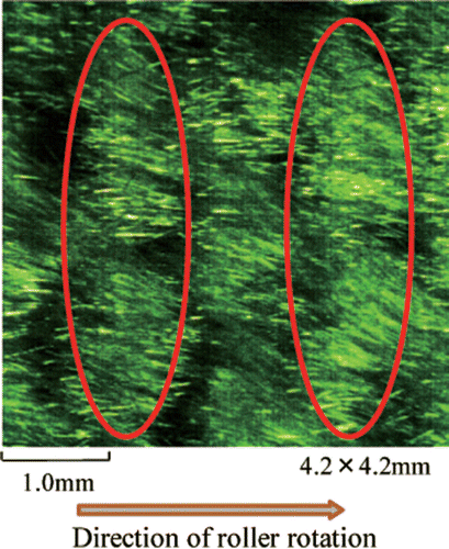 Figure 6. Snapshot of the polyester rubbing piles in contact with the substrate. Photographed with a high-speed camera.