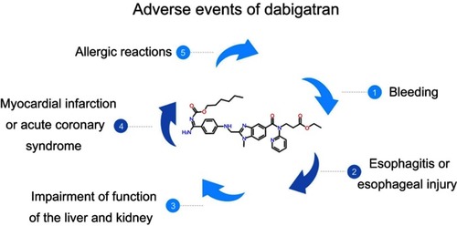 Figure 1 The adverse events of dabigatran.