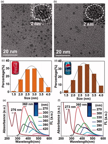 Figure 1. TEM images of NPs from (a) Coke and (b) Pepsi (scale bars 20 nm); insets are HRTEM images (scale bars 2 nm). Histograms of the size distributions of NPs from (c) Coke and (d) Pepsi. Insets are the photographs of Coke and Pepsi cans. UV–Vis absorption and fluorescent (FL) emission spectra of NPs in aqueous solution (0.05 mg mL−1) from (e) Coke and (f) Pepsi. Insets show the photographs of NPs in aqueous solution under UV light.