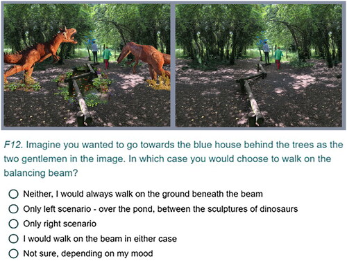 Figure 1. Scenario F. Example of question with paired images in Study 2.