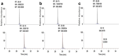 Figure 4. Extracted ion chromatograms of the 16 amino acid chymotryptic peptide containing the YYY sequence that resides within one of the HC and HHC CDRs of the TAA binding Fab for the 2sY (a), 1sY (b) and 0sY (c) CEX fractions. The peak areas for the unmodified peptides (top panels) and sulfated peptides (bottom panels) were used to calculate the relative percentage of Tyr sulfation (Table 1). Note that these peptides are double charged, and that RT, MA and BP represent their retention times, areas, and mass, respectively.