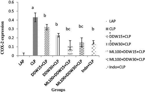 Figure 2. Effect of DDWs and ML on COX-2 gene expression in sepsis. ap < 0.05 is considered significantly between LAP group and CLP group. bp < 0.05 is considered significantly between CLP group and treated groups. cp < 0.05 is considered significantly between *DDWs treatment groups with DDWs + ML groups. Data are presented as mean ± SD. *These data are presented here in order to make a new compression among treatment groups (Fatemi et al. Citation2019).