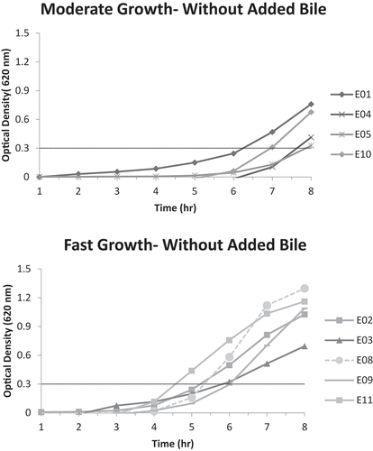 Figure 1. A. Moderate growth graph (optical density at 620 nm vs. time) of isolates E01, E04, E05 and E10 without added bile; reaching A620nm = 0.3 unit within 6–8 hours.B. Fast growth graph (optical density at 620 nm vs. time) of isolates E02, E03, E08, E09, and E11 without added bile; reaching A620nm = 0.3 unit within 4–6 hours.