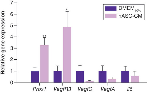 Figure 6. Gene expression evaluation. Prox1 and VegfR3 expression were significantly upregulated by hASC-CM treatment.**p < 0.01 and *p < 0.05, respectively vs DMEM10%, unpaired t-test, n = 12.DMEM: Dulbecco’s modified Eagle medium; hASC-CM: Human adipose-derived stem cell conditioned medium.