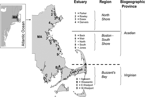 FIGURE 1 Map of the study area showing the three spatial scales considered in sampling striped bass: estuary, geographic region, and biogeographic province (the dashed horizontal line separates the two provinces in question).