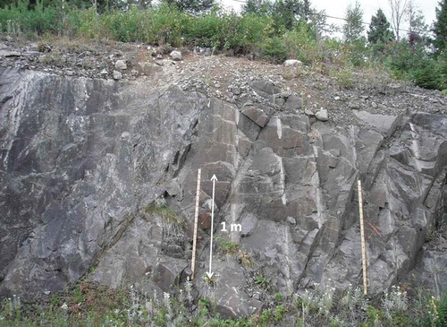 Fig. 2 Outcrop view of the fractured crystalline bedrock (anorthosite) of the Saguenay-Lac-St-Jean region located in Quebec, Canada.