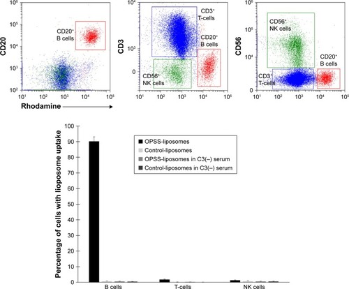 Figure 7 Lymphocyte internalization of liposomes.Notes: Rhodamine-labeled C3-liposomes are not internalized readily by T-cells or NK cells. B cells show a high degree of internalization of C3-bound OPSS-liposomes, but limited internalization of OPSS-liposomes incubated in C3 depleted serum (C3−). Control-liposomes incubated in C3+ or C3 depleted serum have limited uptake into all lymphocytes. Data are expressed as mean ± standard error (n=5).Abbreviations: NK, natural killer; OPSS, orthopyridyl disulfide.