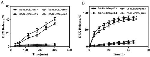 Figure 5. The DEX release of DS-RLs/DEX and DS-FLs/DEX in pH = 7.4 and 6.5 PBS for different times. (A) Burst release within 5 h. (B) Sustained release after 5 h. *p < .05 vs DS-RLs/DEX pH = 7.4, #p < .05 vs DS-FLs/DEX pH = 7.4.