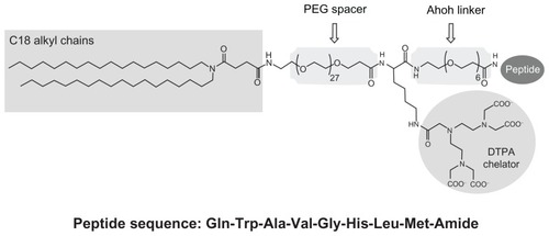 Figure 1 Schematic representation of MonY-Peg27(DTPA)-BN (MonY-BN).Notes: MonY-BN molecule contains five components: a hydrophobic moiety with two C18 alkyl chains, a long polyoxoethilene spacer (Peg27), the DTPA chelating agent, a short linker (Ahoh), and the BN(7–14) peptide. The peptide sequence is reported using the three-letter amino acid code.Abbreviations: BN, bombesin; DTPA, diethylenetriaminepentaacetate; PEG, polyethylene glycol.
