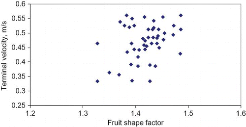 Figure 6 Terminal velocity versus fruit shape factor.