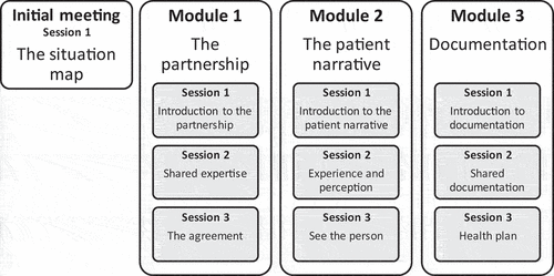 Figure 3. Overview of the person-centred care training programme - mutual meetings.