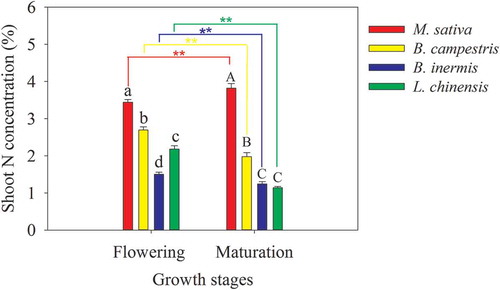 Figure 2. Shoot N concentrations in the four forage crops during the flowering and maturation phases. Values are means ± standard error (n = 4). Different lowercase and uppercase letters mean significant difference in shoot N concentration during the flowering and maturation phases, respectively. Two Asterisks (**) mean a significant difference between the two growth stages at the level of 0.01 based on t-test