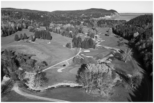 Figure 28 A stepped pool profile was constructed in Dickson Brook, NB, through the Fundy National Park golf course, to stabilize the stream and provide salmon and sea run brook trout habitat. The channel is fed by four steeply sloping tributaries from the bedrock sides of the emerging coastal valley (Atlantic Geoscience Society 2001) (photo J. Watts).