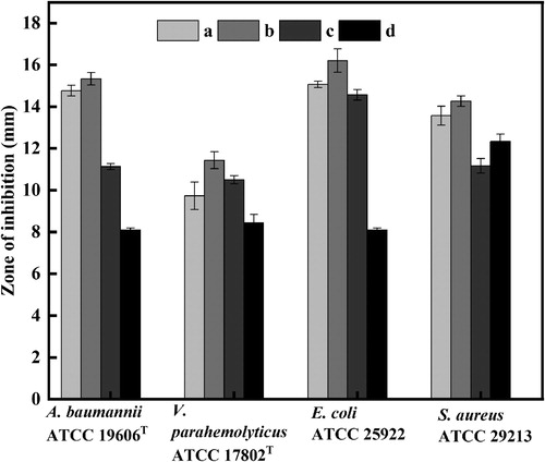 Figure 7. Zone of inhibition against pathogenic strains. (a) The mixture of lipopeptide and pure AgNPs (150 ug/mL); (b) AgNPs with enhanced antibacterial properties (150 ug/mL); (c) Pure AgNPs (150 ug/mL); (d) Antibacterial substances (lipopeptide) (150 ug/mL).