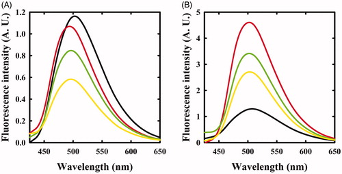 Figure 4. Fluorescence emission spectrum of OASS in the absence and presence of 1 mM triF-Ala. Emission spectra were recorded upon excitation at 412 nm. Panel A: OASS-A in the absence of reagent (black line), 1 min (red line), 4 h (green line), and 6 h (yellow line) after addition of the reagent. Panel B: OASS-B in the absence of reagent (black line), 1 min (red line), 3 h (green line), and 7 h (yellow line) after addition of the reagent.