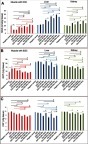 Figure 6 Effects of ZnO-NPs on oxidative stress biomarkers in different treated groups. (A) MDA content (nmol/g tissue), (B) GST activity (mg/g tissue) and (C) CAT activity (U/g tissue). The data are presented as mean±SE (n=5). *Significant difference (P<0.05).Abbreviations: MDA, malondialdehyde; CAT, catalase; GST, glutathione-s-transferase; ESC, Ehrlich solid carcinoma; NAC, N-acetyl cysteine; ZnO-NPs, zinc oxide nanoparticles.