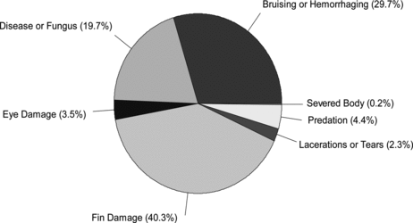 FIGURE 2. Distribution of injury types for the 886 fish with injuries.
