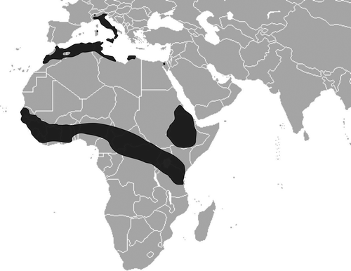 Figure 1. Current distribution of the crested porcupine (Hystrix cristata L., 1758) (http://maps.iucnredlist.org. Accessed on 1st June 2013, updated).