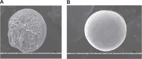 Figure 4 Scanning electron microscopy photograph of formulation. A) VSA-1 uncoated microspheres, B) microspheres coated with Eudragit S100 (VSAE-2) (spatial resolution 2.5 nm).