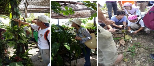 Figure 2. Learning from nature aided by multisensory experience (Botanic Garden Walk).