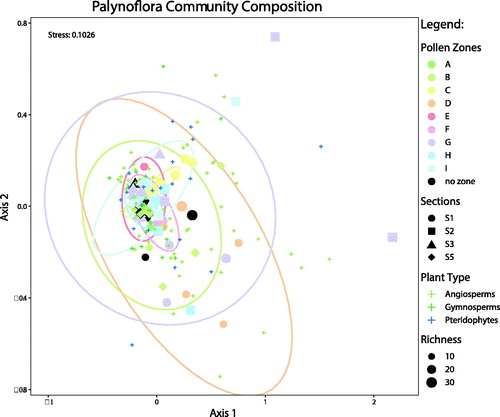 Figure 6. NMDS analysis of samples from all sections at Stenkul Fiord, separated by colour according to the pollen zones. Confidence ellipses have been superimposed to show how well the clusters for each pollen zone have been constrained and the degree of compositional variance within a pollen zone.