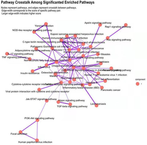 Figure 1 Pathway crosstalk among significantly enriched pathways Nodes represent pathways and edges represent crosstalk between pathways. To understand how these 72 pathways interact with each other, we performed a pathway crosstalk analysis. A total of 66 pathways were containing six or more members in the OA gene set. A number of 44 pathways met the criterion for crosstalk analysis. Each pathway shared at least seven genes with one or more other pathways.