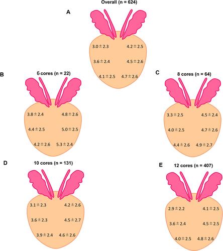 Figure 4 The Faces Pain Scale at each site of cores taken during biopsy (A) in total number of patients (B) in patients who underwent 6 core biopsies (C) in patients who underwent 8 core biopsies (D) in patients who underwent 10 core biopsies (E) in patients who underwent 12 core biopsies.