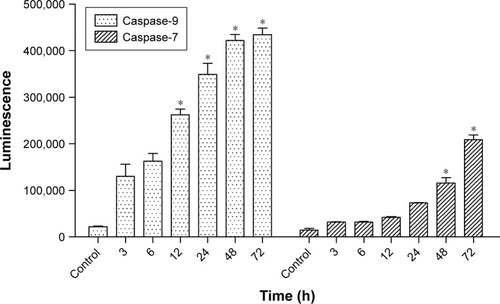 Figure 10 Caspase-9 and caspase-7 luminescence evaluation in MCF7 cells during 8-hydroxy-ar-turmerone treatment.