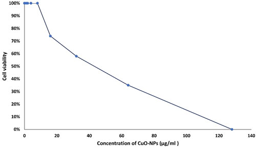 Figure 5. Cytotoxicity of CuO-NPs against HFB-4 (normal human melanocytes) cell lines.