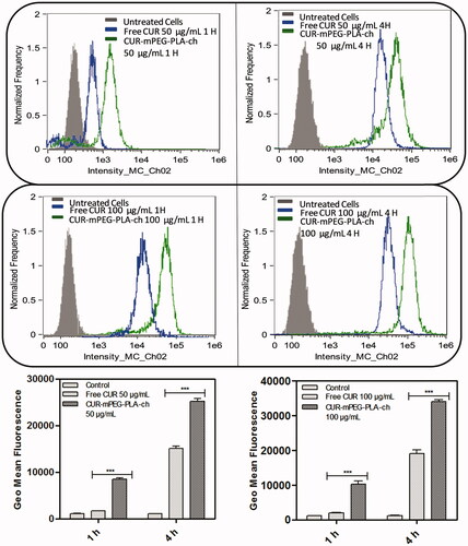 Figure 7. Quantification of cellular association of Free CUR and CUR-mPEG–PLA-Ch micelles by flow cytometry in MDA-MB-231 cells. The cell-associated CUR fluorescence was measured. The figure represents the histogram plots and comparison of the geometric mean of fluorescence of the cells following 1- and 4-h treatment with Free CUR or CUR-mPEG–PLA-Ch. The data are mean ± SD, averaged from three separate experiments. The significance of difference between the mean was analyzed by Student’s t-test, ***p< 0.001.