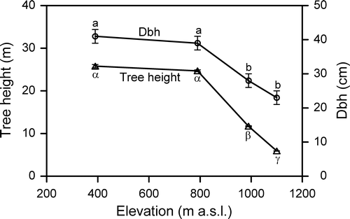 FIGURE 1 Tree height and stem diameter at breast height of four spruce stands along the elevational transect at Mount Brocken. Given are means ±1 SE. Different Latin or Greek letters indicate significant differences between the stands (P < 0.05).