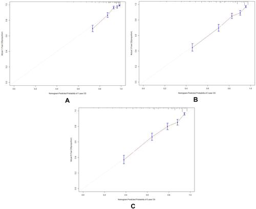 Figure 3 (A–C) Calibration curves of primary cohort for the nomogram predictions of the 1-, 3- and 5- year overall survival.