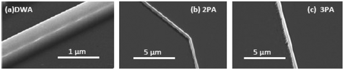 Figure 4 SEM images of fabricated microrodes using 2PA, 3PA, and DWA processes.