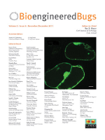 Cover image for Bioengineered, Volume 2, Issue 6, 2011
