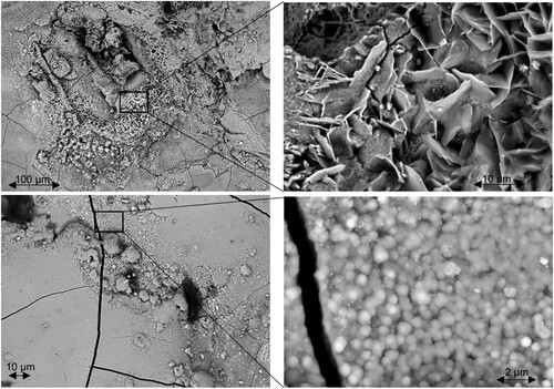 Figure 9. High resolution (HR) SEM images of the corroded flat steel profile surface. Upper: overview of an extensively corroded region (left); close-up exhibiting laminar lepidocrocite (right). Lower: close-up of a less corroded region (left); close-up exhibiting rosette-like goethite (right).