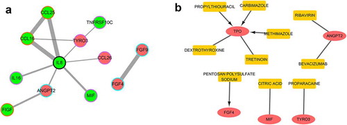 Figure 4. Protein-Protein Interaction (PPI) and drug-gene interaction networks. (a) Down-regulated DEPs are green and up-regulated DEPs are red. A blue edge shows that the protein was identified by a difference in average net cumulative strength, an orange edge shows that the protein was identified by a difference in mean cumulative strength, and a purple edge shows that the protein was identified by a difference in cumulative strength. The thickness of the line corresponds to the score of the interaction relationship with thicker lines corresponding to higher interaction scores. (b) The red oval is the key gene, the yellow rectangle is the drug, and the arrow points to the inhibitory effect