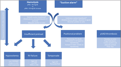 Figure 3. Algorithmic approach to pVAD with suction alarm or hemolysis. The initial question is whether it is a positional issue or an issue of device preload. Filling pressures, echocardiography and smart assist will differentiate these problems. In case of insufficient preload, one must sort out the hemodynamic culprit. CVP = central venous pressure. FAC = fractional area change. LV = left ventricle. PAPi = pulmonary artery pulsatility index. PAWP = pulmonary artery wedge pressure. pfHb = plasma free hemoglobin. pVAD = percutaneous ventricular assist device. RV = right ventricle. TAPSE = tricuspid annular plane systolic excursion.